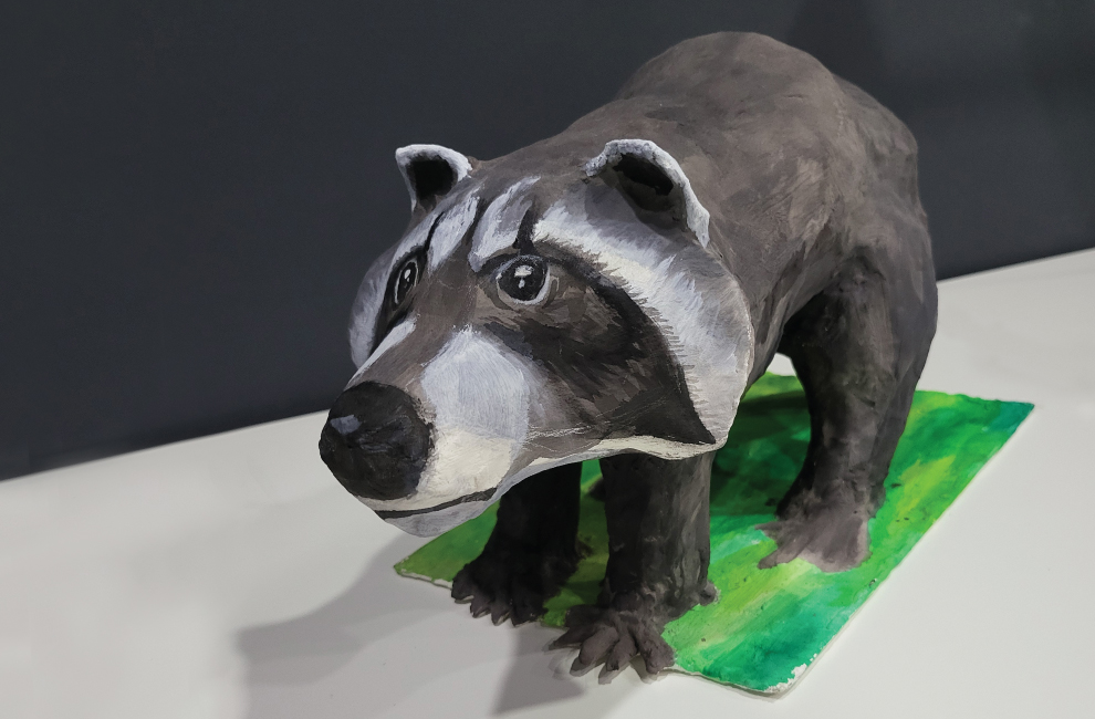 raccoon